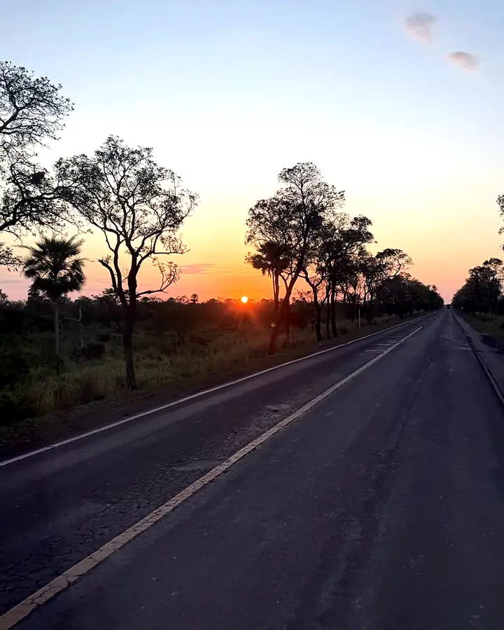 Estrada reta no fim da tarde, com árvores do cerrado