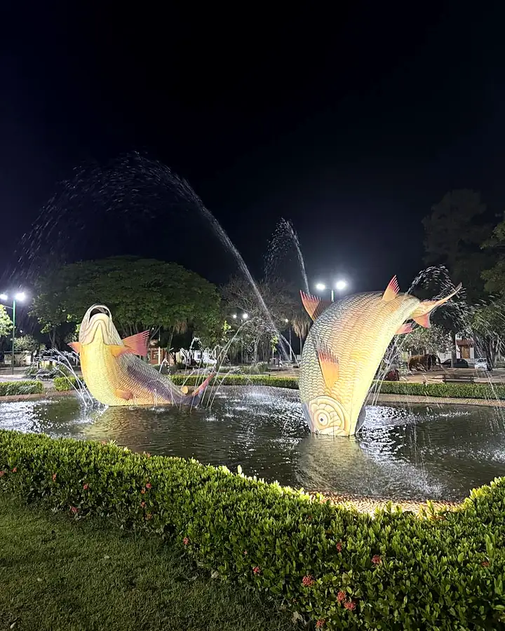 Chafariz com esculturas de peixes iluminado à noite